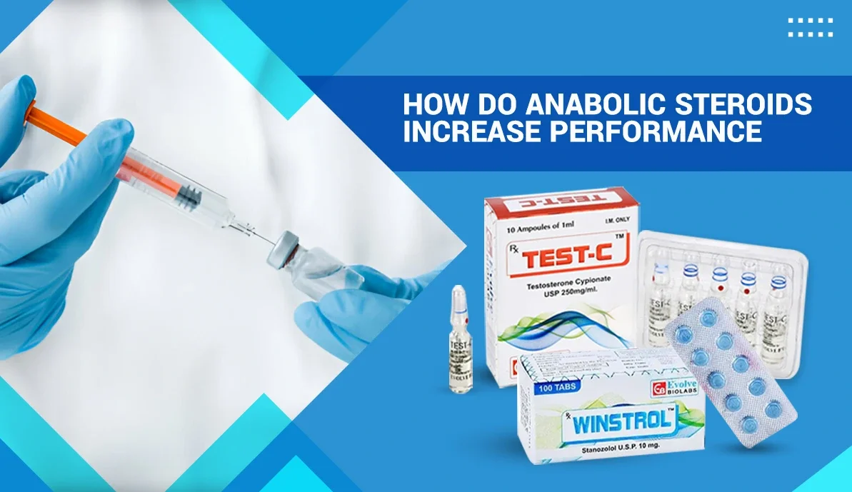 How Do Anabolic Steroids Increase Performance