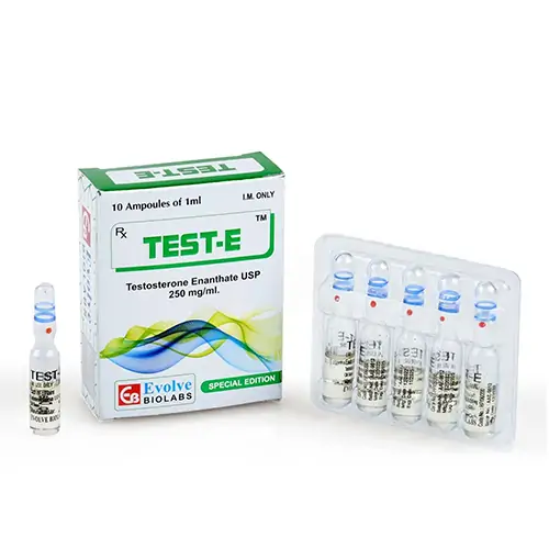 Test E